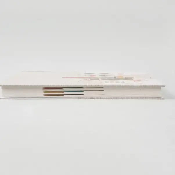 Paper Pasting Diaries With Boxes _63.webp