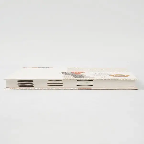 Paper Pasting Diaries With Boxes _75.webp
