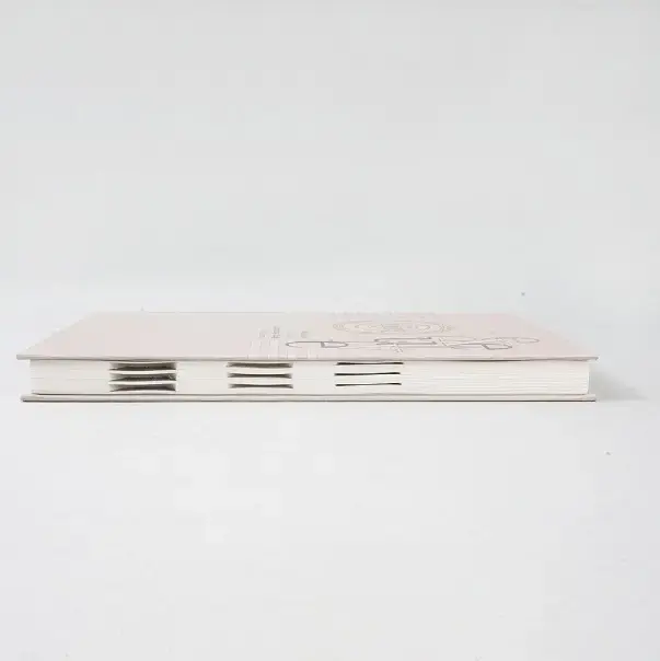 Paper Pasting Diaries With Boxes _93.webp