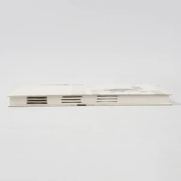 Paper Pasting Diaries With Boxes _99.webp