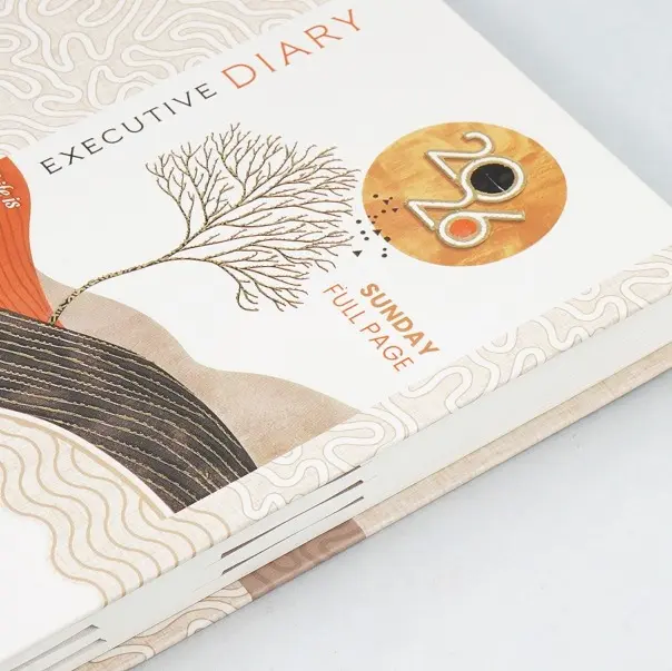 Diaries V-360     