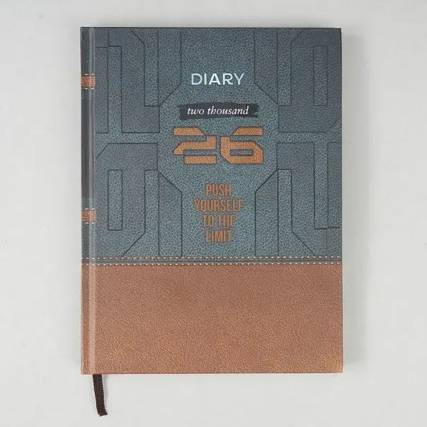 Diaries V-366     