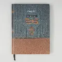 Diaries V-366     