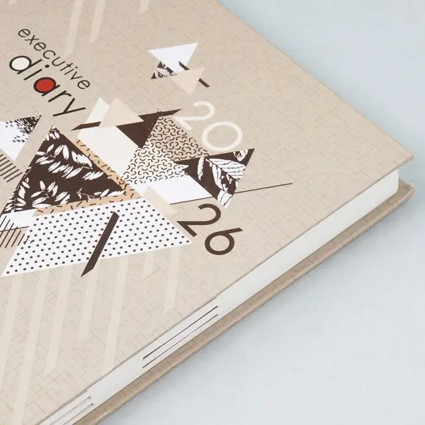 Diaries V-377     