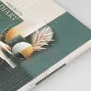 Diaries V-378     