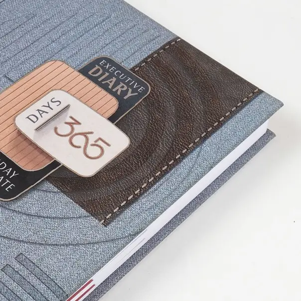 Diaries V-373     