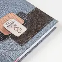 Diaries V-373     