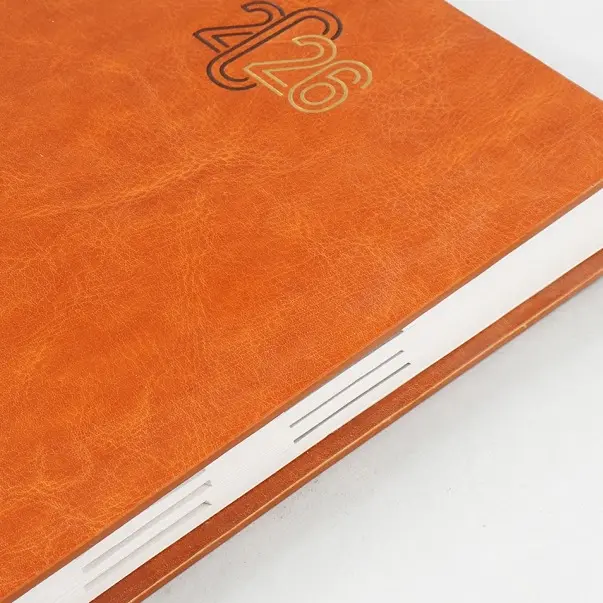 Diaries V-101     