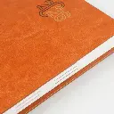Diaries V-101     