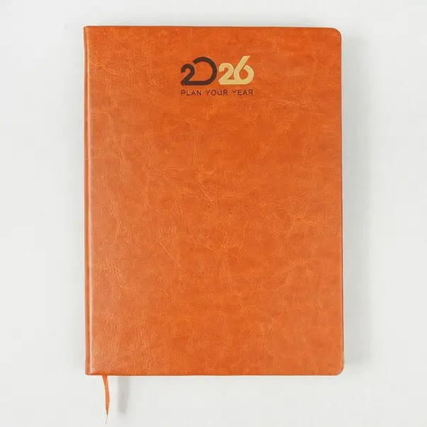 Diaries V-169     