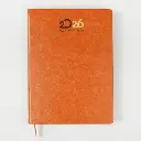 Diaries V-169     