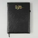 Diaries V-215     