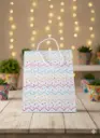 Whimsical Chevron bag (25)